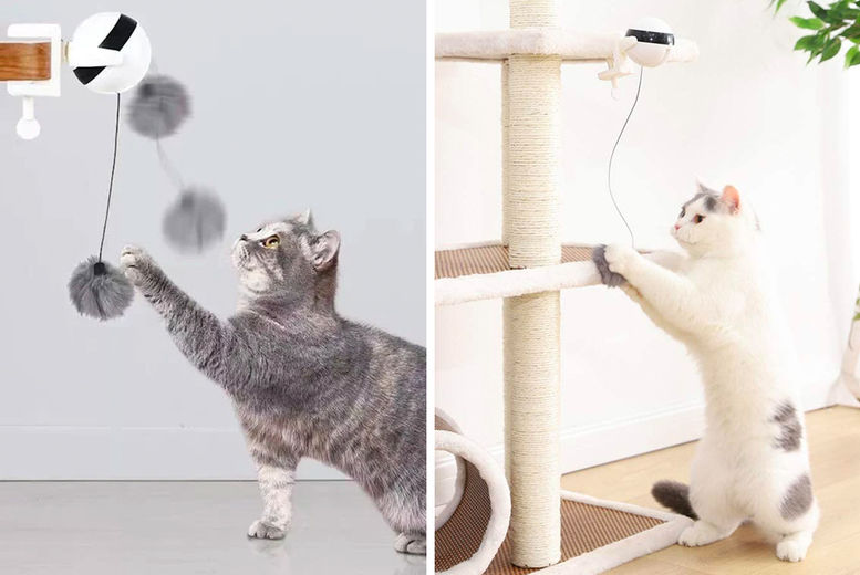 Cat Toys for Self Play