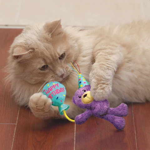 Cat Toys without Catnip