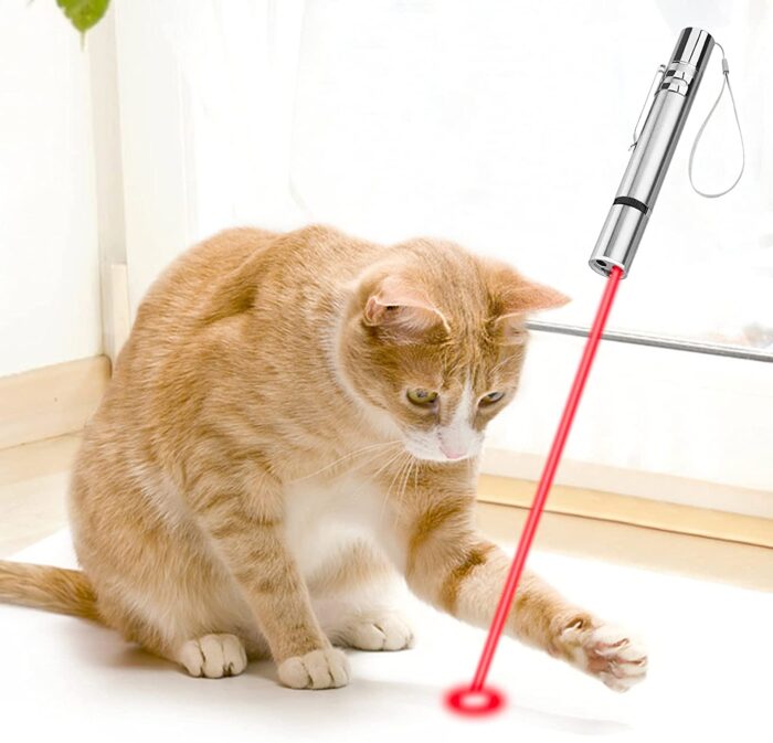 can cat toy lasers damage eyes