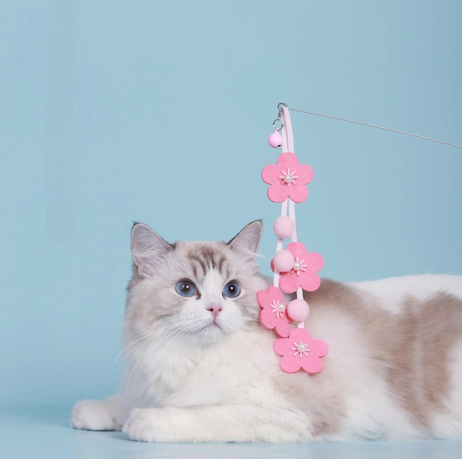 Cat Toys with Bells