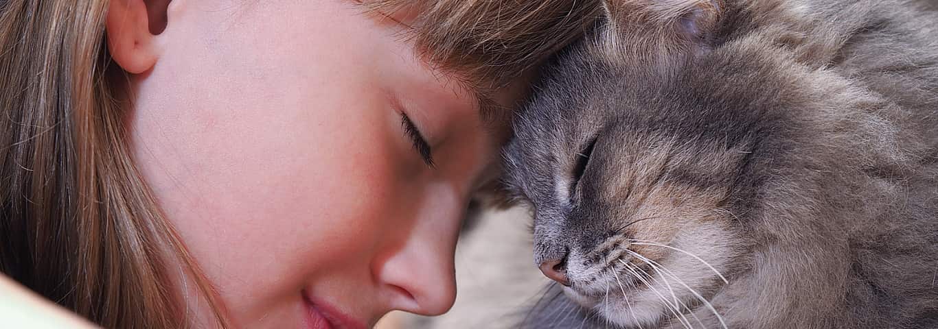Signs of Affection in Cats