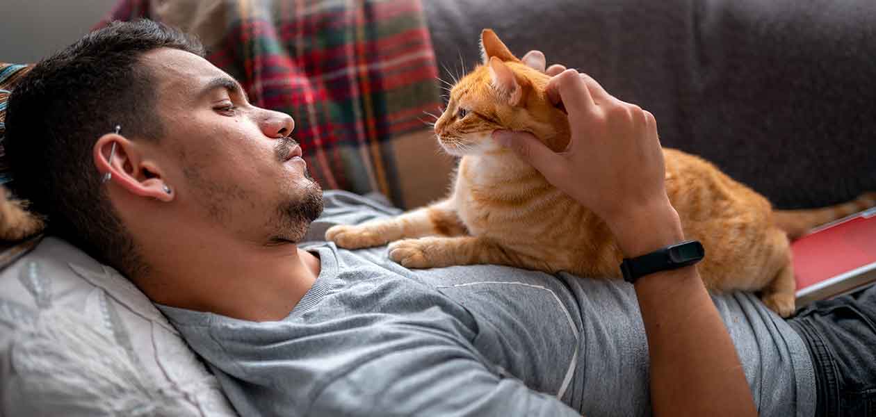 which cats are the most affectionate